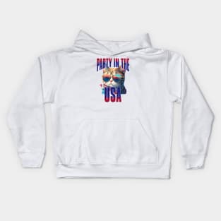 Cool Cat Party in the USA Independence Day Kids Hoodie
